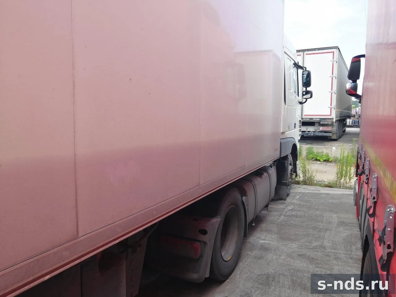 DAF