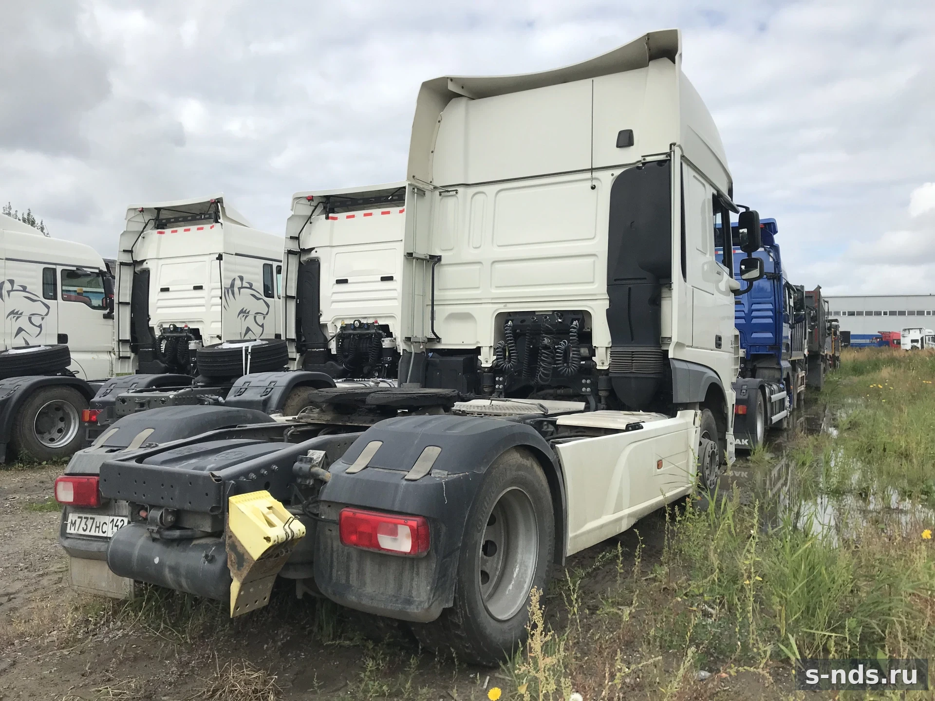 DAF