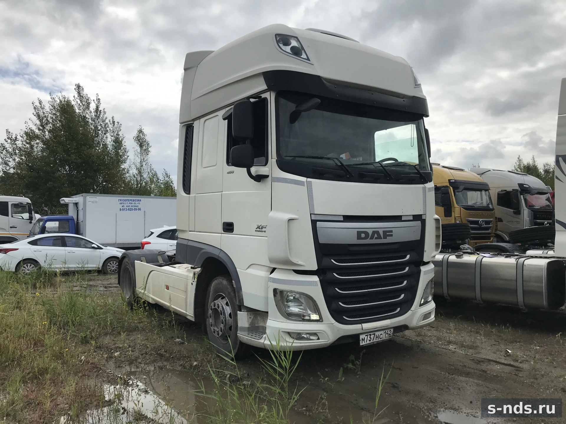 DAF