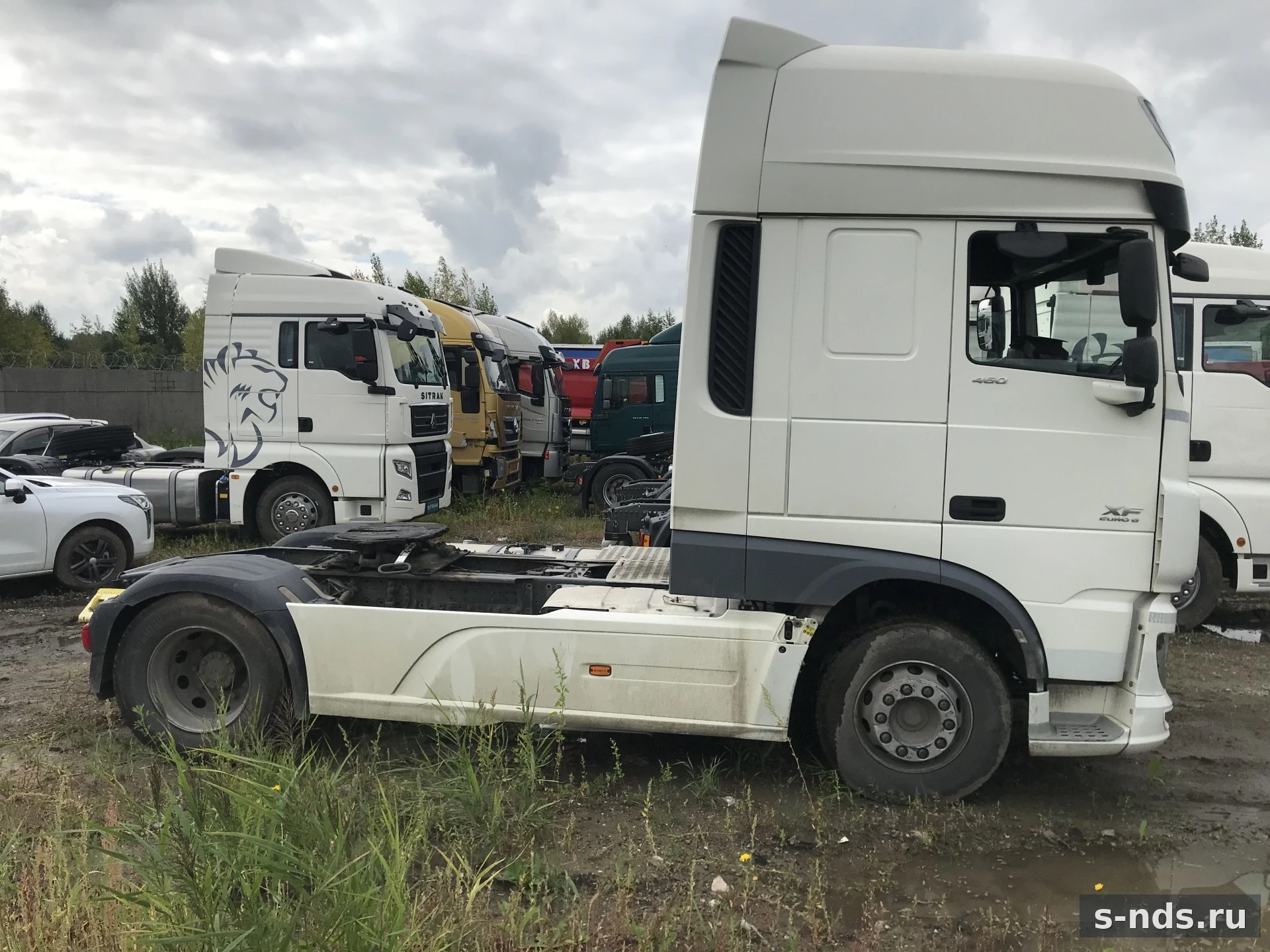DAF