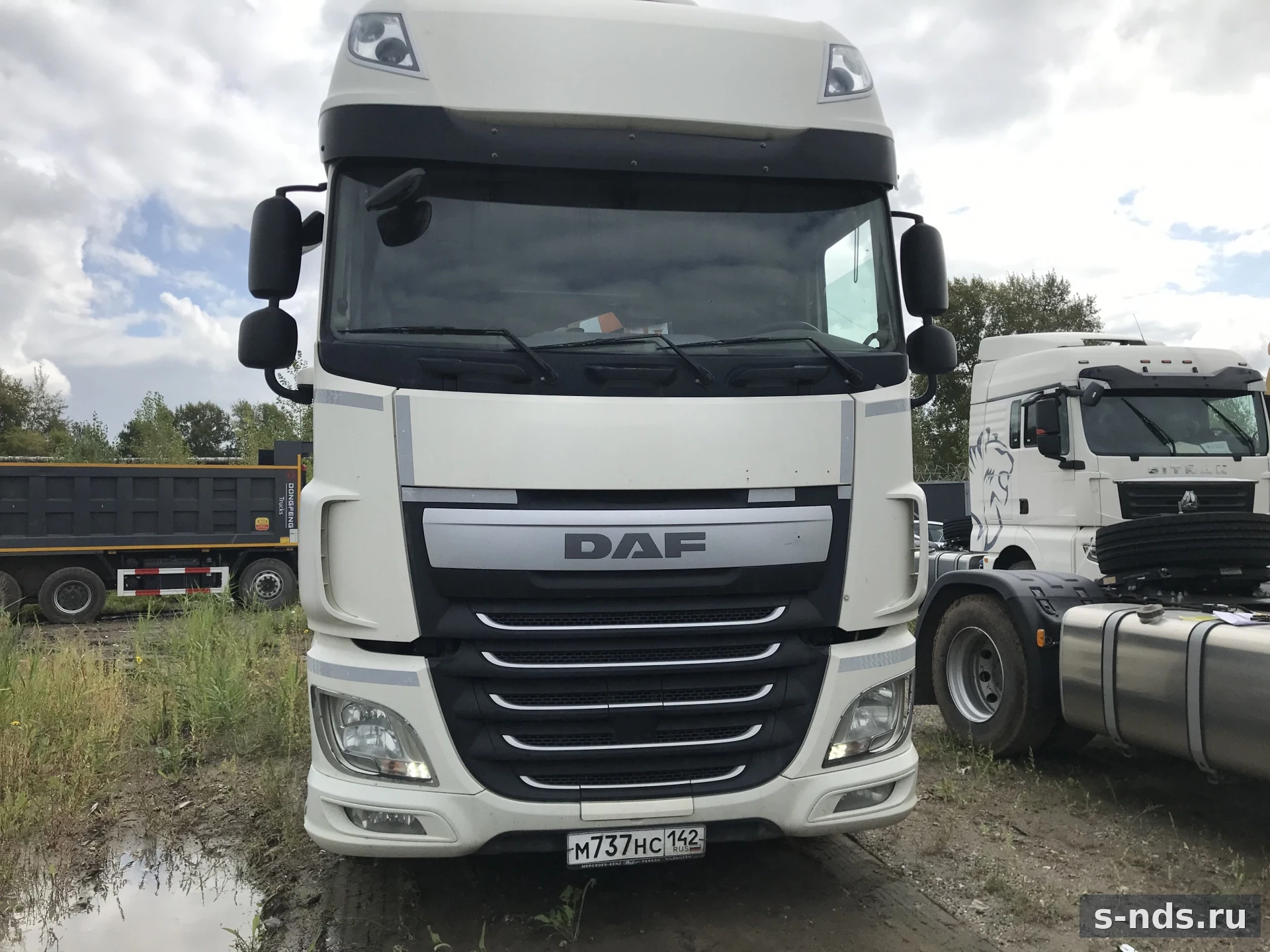 DAF