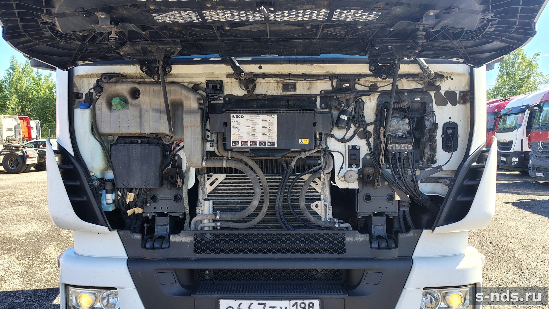 IVECO