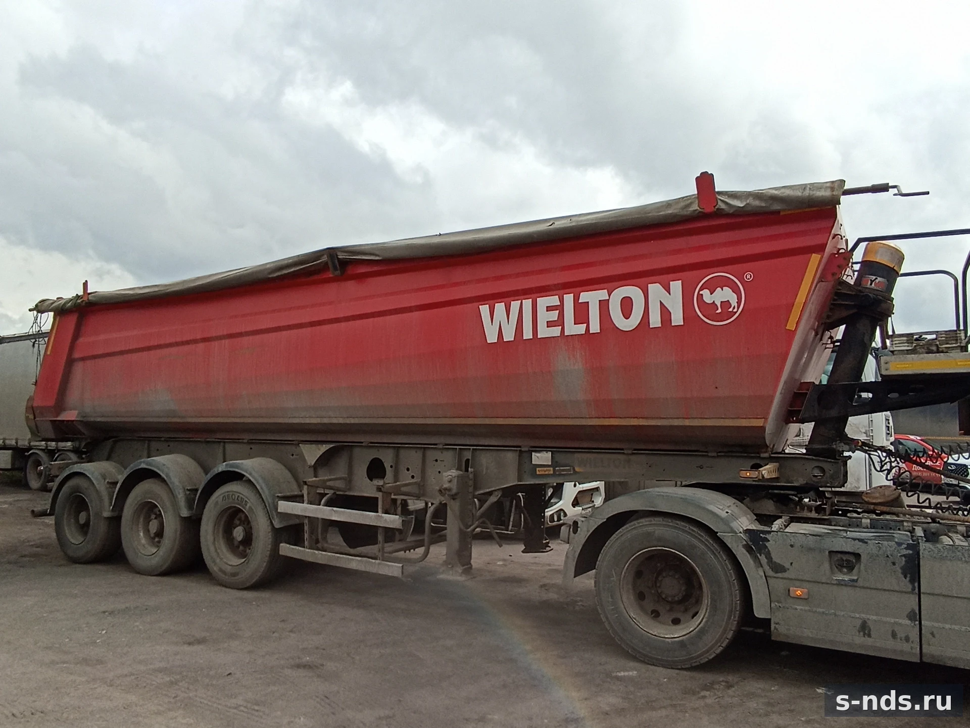 WIELTON