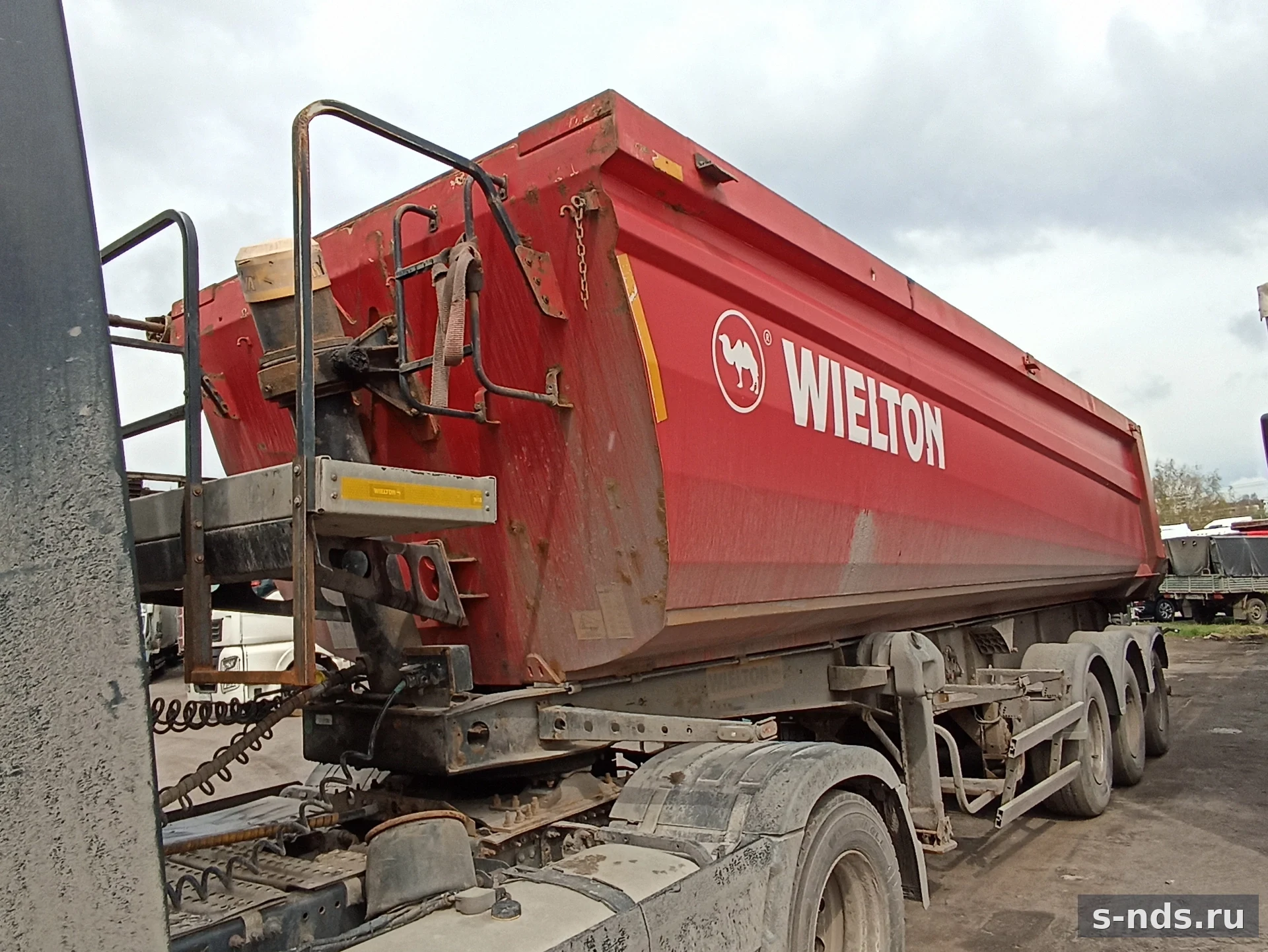 WIELTON