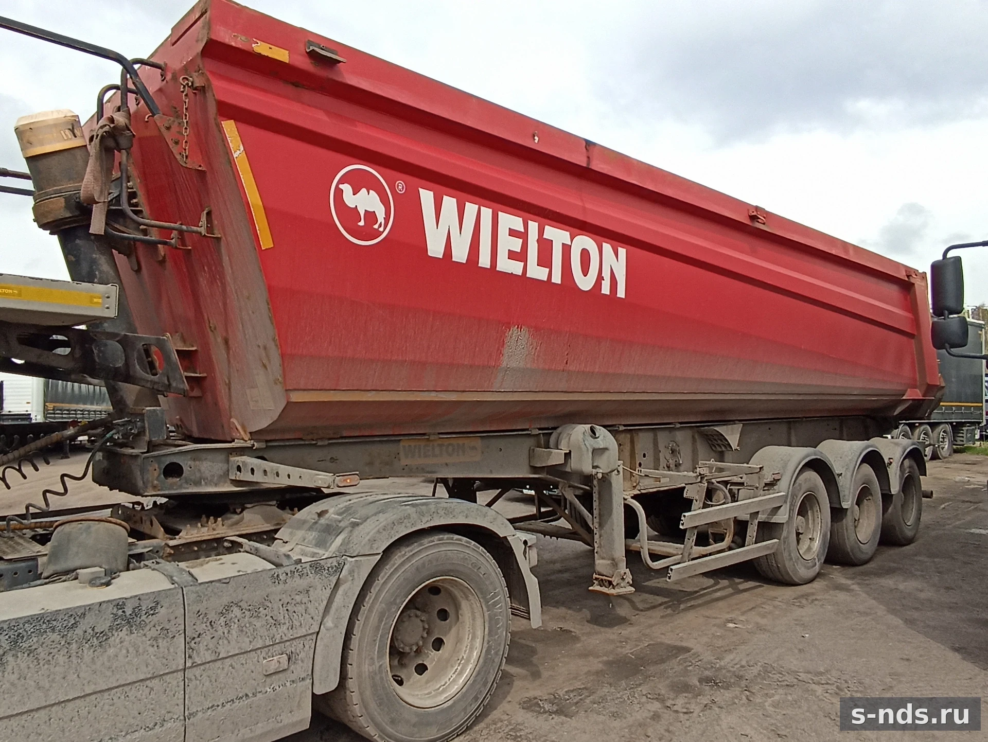 WIELTON