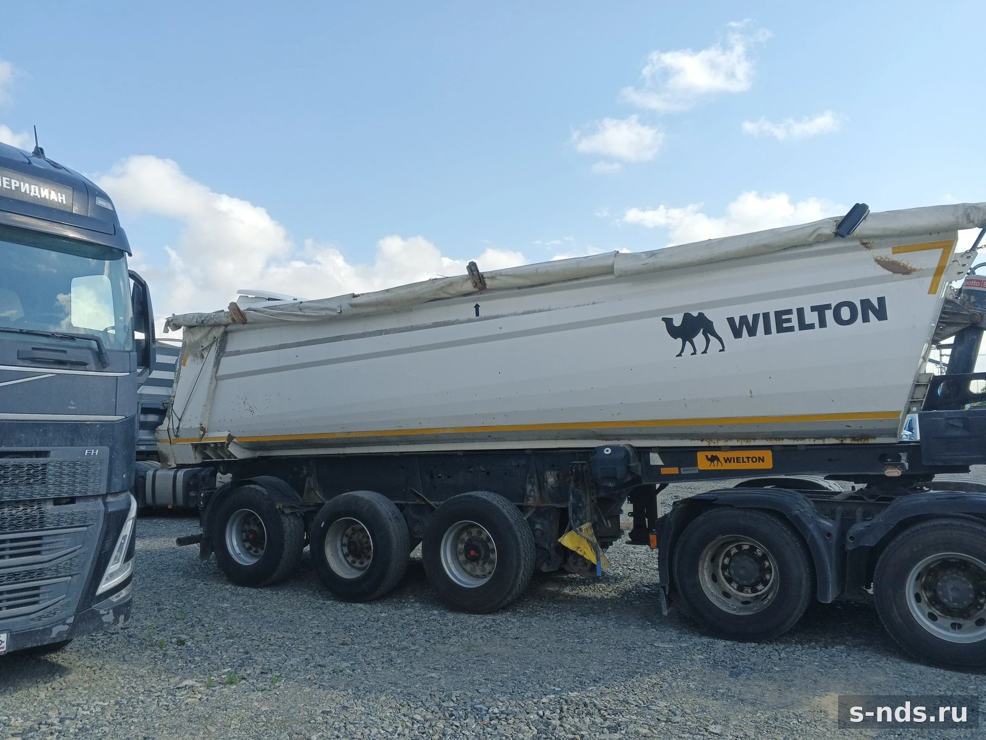 WIELTON
