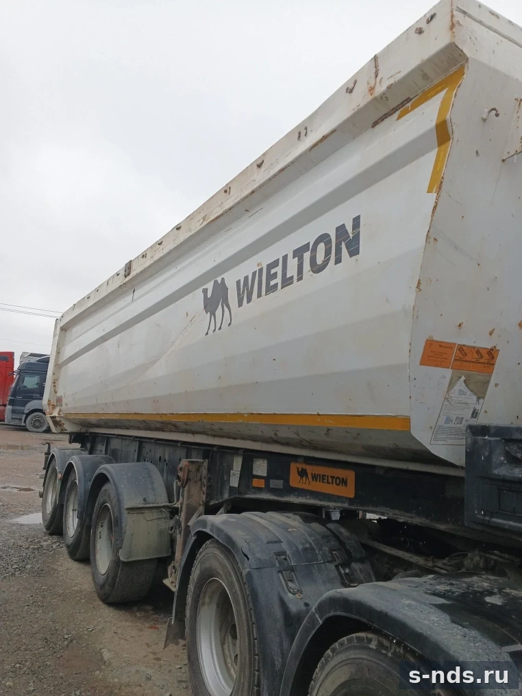 WIELTON