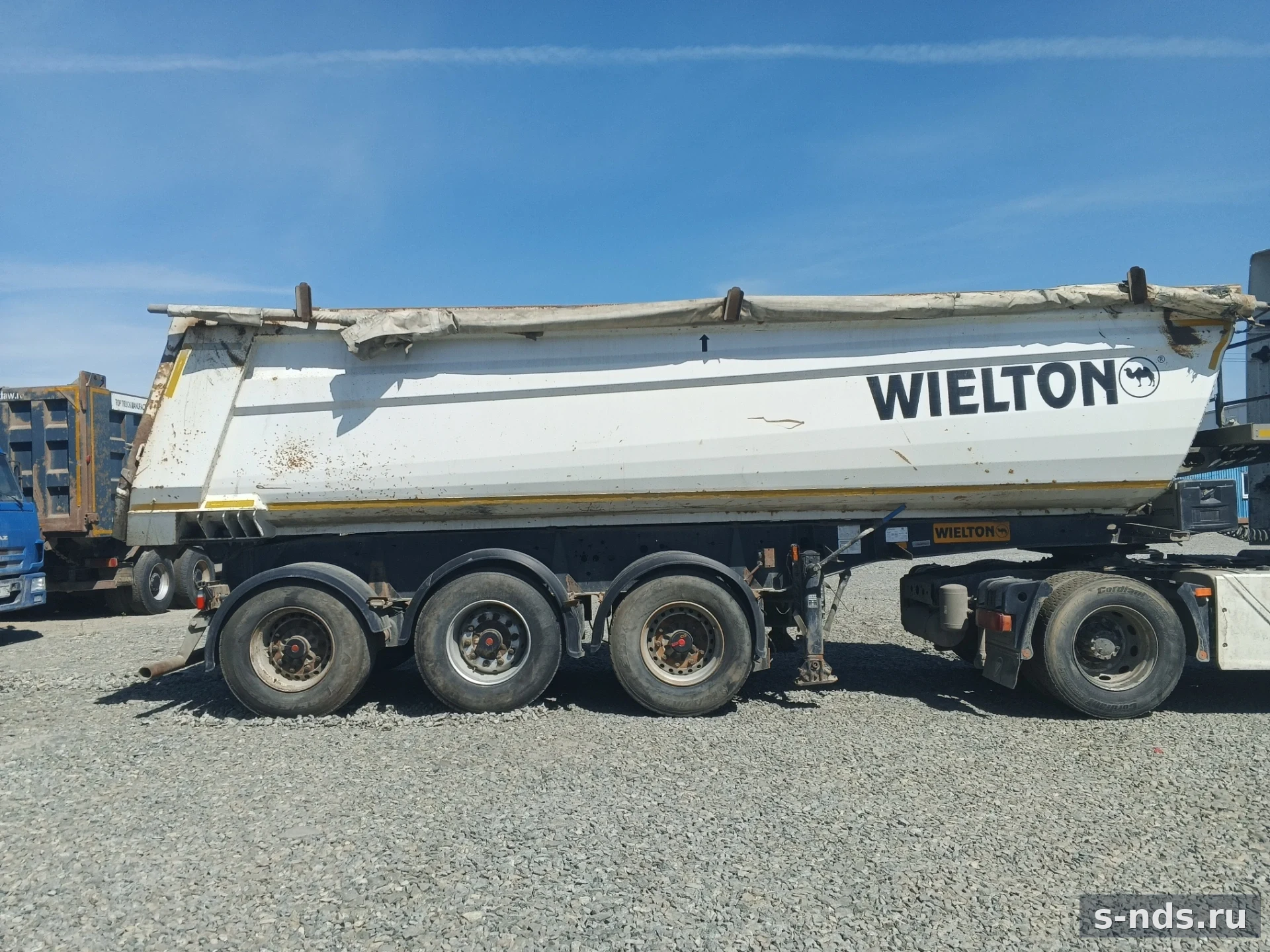 WIELTON